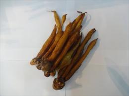 (生)クラチャイ 150g